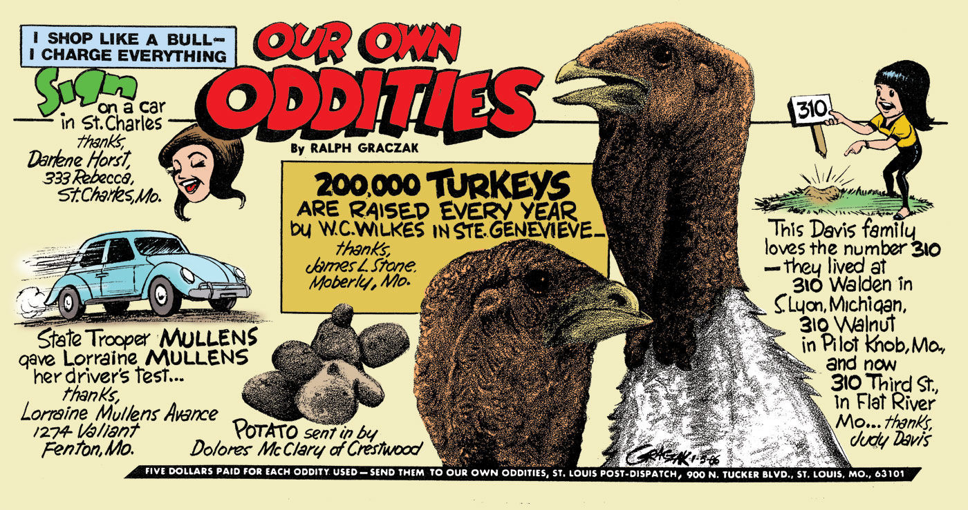 Our Own Oddities
